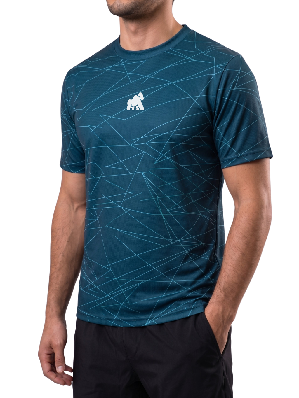 NY26- MOTIONDRY 02