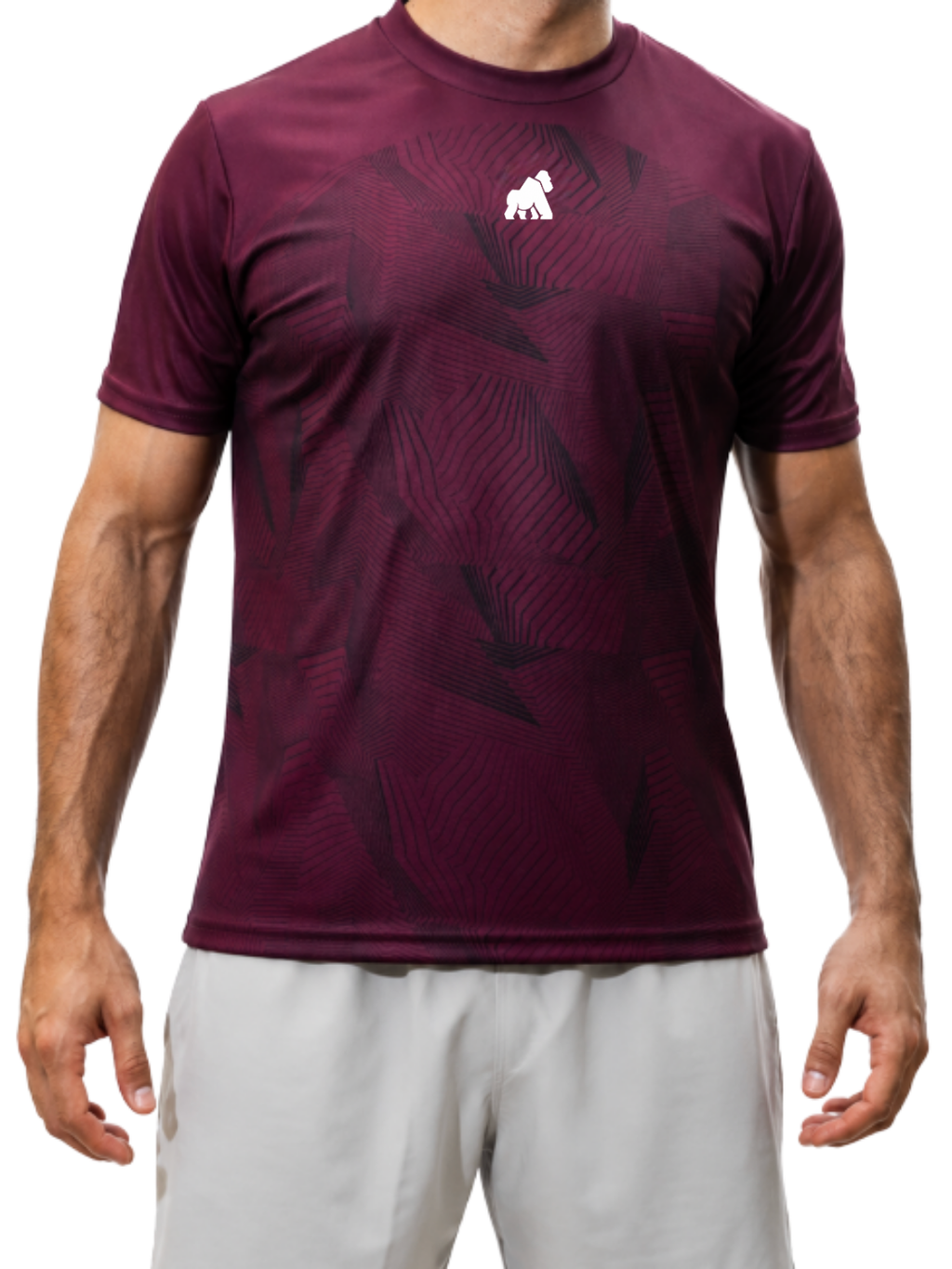NY26- MOTIONDRY 05