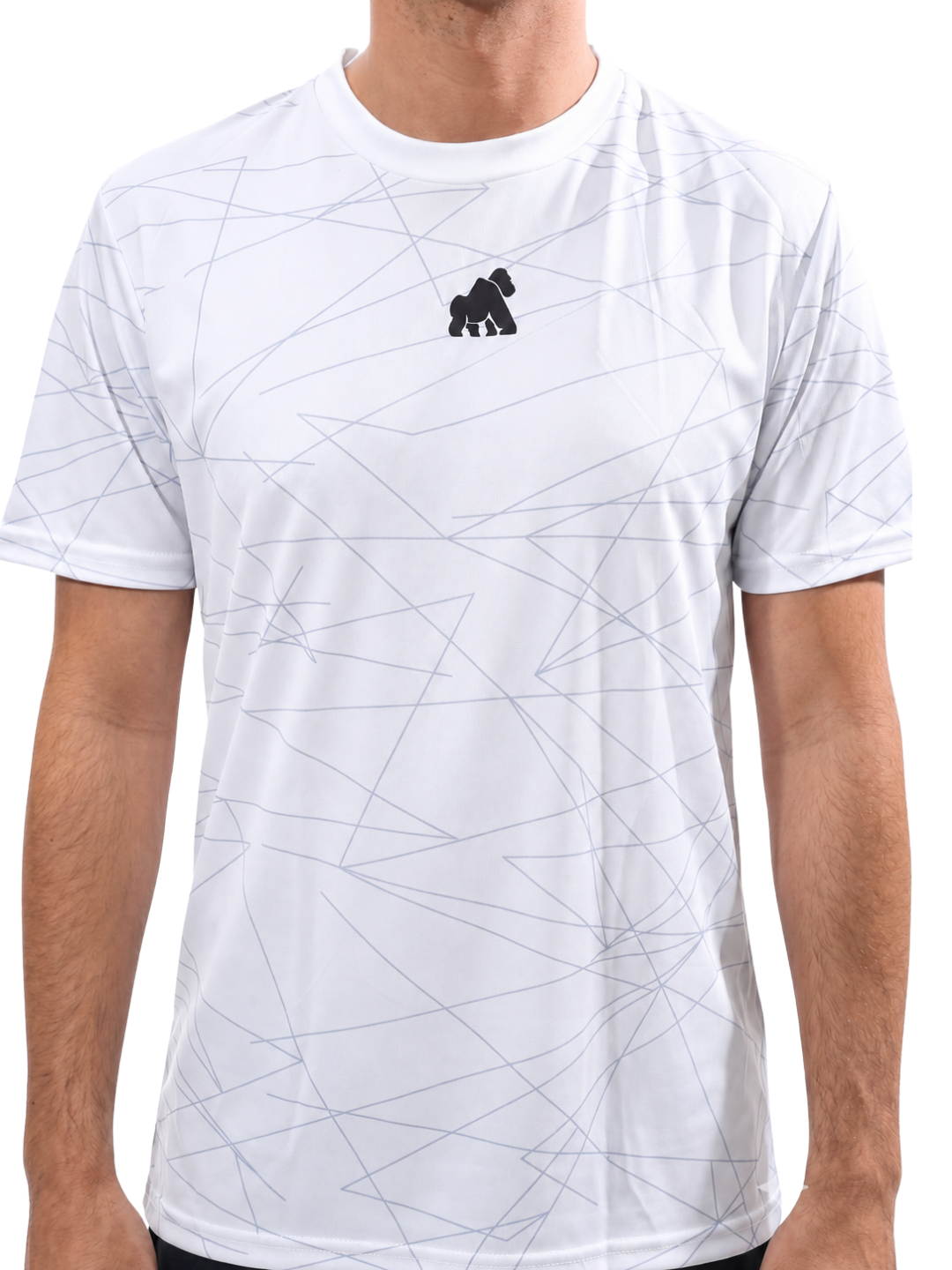 NY26- MOTIONDRY 01